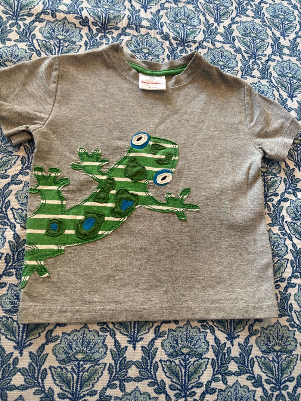 Hanna Andersson Gray Tee with Green Striped Frog Applique